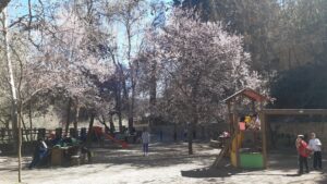 Area recreativa Nacimiento